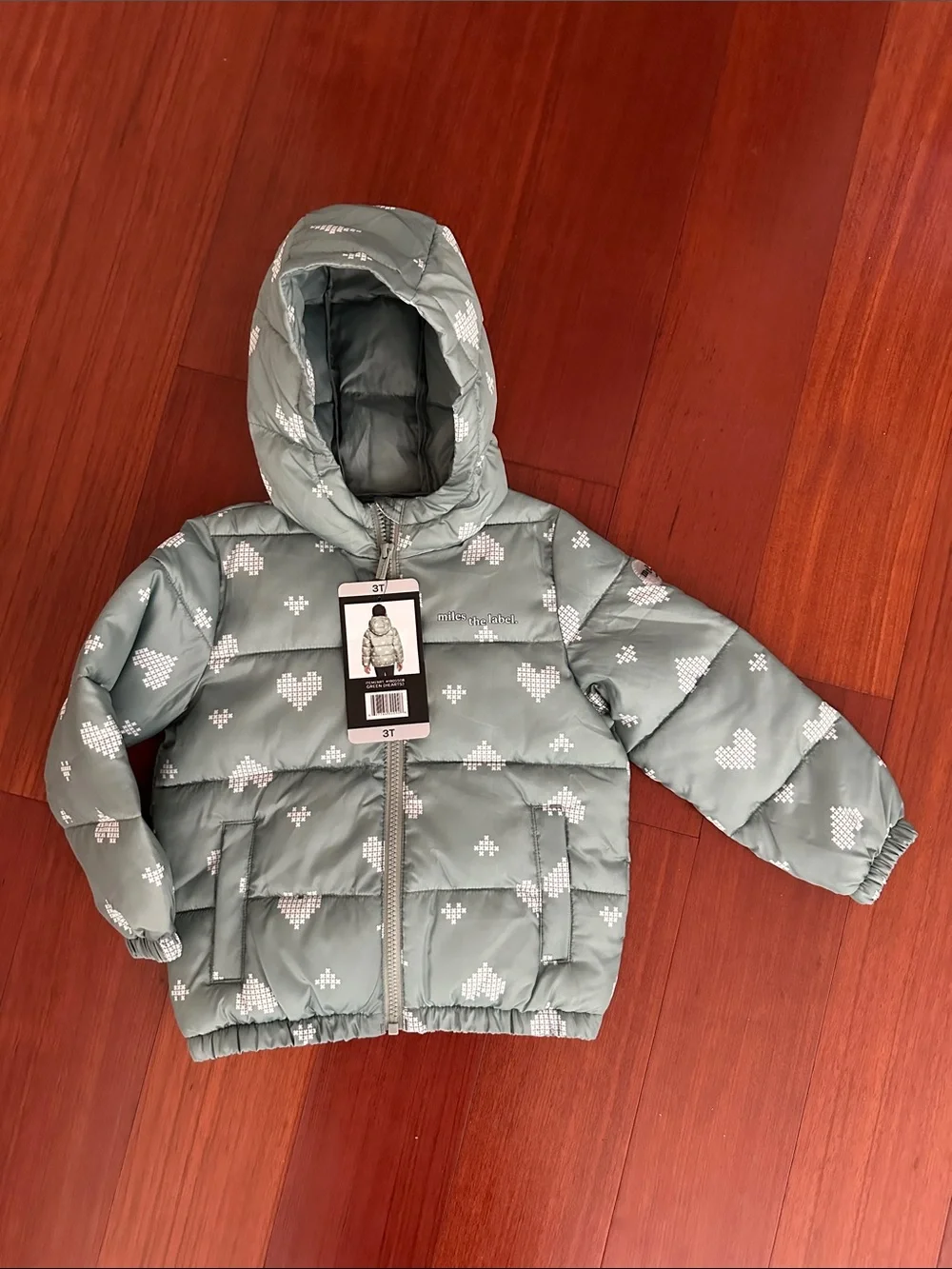 Toddler Hooded Puffer Jacket in Mint with Heart Print - 3T